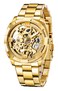 Tiong Mechanical Mens Watch Stainless Steel Skeleton Automatic Watch Waterproof Watches for Men