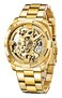 Tiong Mechanical Mens Watch Stainless Steel Skeleton Automatic Watch Waterproof Watches for Men
