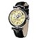 CARLIEN Skeleton Automatic Steampunk Watches GoldTone Luminous Hands Leather Strap WristWatch Black