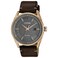 Citizen Mens EcoDrive Weekender Watch in GoldTone Stainless Steel with Brow Leather Strap Silver Dial Model BM698300H