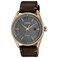 Citizen Mens EcoDrive Weekender Watch in GoldTone Stainless Steel with Brow Leather Strap Silver Dial Model BM698300H