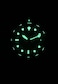 RATIO FreeDiver Sapphire Crystal Diver Watch Japanese Automatic Dive Watch 200m Water Resistant Diving Watch Green
