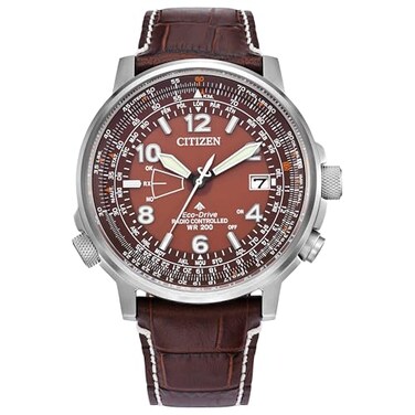 Citizen Mens EcoDrive Promaster Eco Sky SilverTone Stainless Steel Watch Brown Leather Strap Brown Dial Model CB024801X