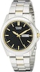 Citizen Quartz Mens Watch Stainless Steel Classic TwoTone Model BF058456E