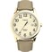 Timex Womens Easy Reader 38mm Watch GoldTone Case Cream Dial with Light GoldTone Leather Strap