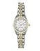 Armitron Womens 752475MOP Genuine Crystal Accented TwoTone Bracelet Watch