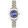 Armitron Womens Genuine Crystal Accented Bracelet Watch 752475