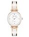 Anne Klein Womens Genuine Diamond Dial Bangle Watch