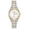 Citizen Womens EcoDrive Dress Classic Watch in TwoTone Stainless Steel White Dial Model EW314451A