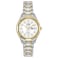 Citizen Womens EcoDrive Dress Classic Watch in TwoTone Stainless Steel White Dial Model EW314451A
