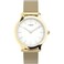 Timex Womens Transcend 31mm TW2U86800VQ Mechanical Hand Wind Watch