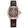 Citizen Womens EcoDrive Ceci Rose GoldTone Stainless Steel Watch Brown Apple Leather Strap 3 Hand Brown Dial Model EM116309X