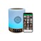 Swthlge Quran Speaker Quran Night Light with Remote APP ControlAZAN Speaker Quran lamp FM MP3 Recitation Translation hajj Gifts