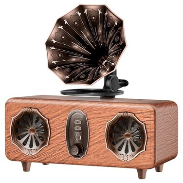 FREEFISH Retro Bluetooth Speaker Vintage Radio with 54 Bluetooth Version FM Radio Bass Vintage Wireless Speaker Support USBTFAUX Player for Home Office Room Bedroom