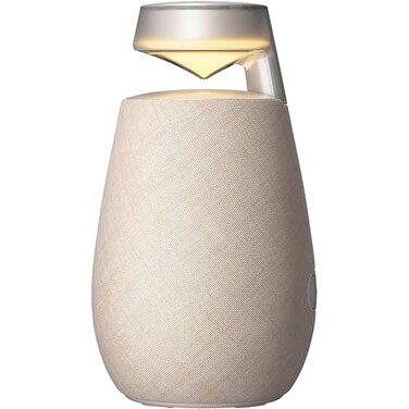 LG XO2TBE XBOOM 360 Wireless Speaker with Omnidirectional Sound