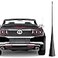 RooFox Ford Mustang Antenna 20102014 For Mustang 20102014