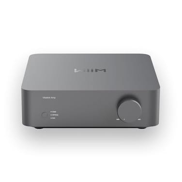 WiiM Vibelink Amp 100W Power Amplifier with Premium ESS 9039Q2M DAC and TI TPA3255 Compatible with WiiM Mini Pro Pro Plus and Ultra RCA Coax and Optical Inputs Space Gray