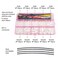 elechawk ZH 15MM Male Female Connectors and 28AWG PreCrimped Silicone Cables kit ZH15 Connector Socket 23456 Pin Housing JST Adapter Cable Connector with Length of 160mm 63inch Wire Cable