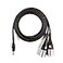 Planet Waves DAddario Accessories Custom Series 18 to Dual XLR Audio Cable
