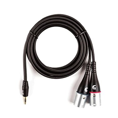 Planet Waves DAddario Accessories Custom Series 18 to Dual XLR Audio Cable