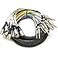 Seismic Audio SAXT16x10M 16 Channel 10 XLR Male to 14 TRS Snake Cable