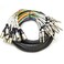 Seismic Audio SAXT16x10M 16 Channel 10 XLR Male to 14 TRS Snake Cable