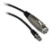 Shure WA310 4Feet Microphone Adapter Cable 4Pin Mini Connector TA4F to XLRF Connector