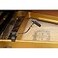 Rannsgeer PMMB19Piano Musical Instrument Microphone with Piano Clamp 5 Connectors