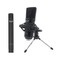 CAD Audio GXL1800SP Studio Pack with GXL1800 Side Address GLX800 Small Diaphragm Mic Perfect for Studio Podcasting Streaming