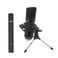 CAD Audio GXL1800SP Studio Pack with GXL1800 Side Address GLX800 Small Diaphragm Mic Perfect for Studio Podcasting Streaming
