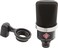 Sennheiser Neumann TLM 102 MT Condenser Microphone Cardioid