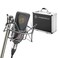 Neumann TLM 103MTSet Large Diaphgram Mono Set Condenser Studio Microphone Black