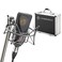 Neumann TLM 103MTSet Large Diaphgram Mono Set Condenser Studio Microphone Black