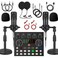 sktome V8s for 2 V8s Voice Changer with BM800 Podcast Microphone Bundle Studio Condenser Microphone Perfect for Podcasting Recording Singing Streaming and Gaming