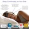 SleepPhones Wireless Sleep Headphones by AcousticSheep V8 24Hour Battery Original and Most Comfortable Bluetooth Headphones for Sleeping Large Pitch Black Breeze