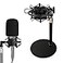 Rigych AT2020 Mic Stand Adjustable Height Desk Mic Stand with Shock Mount Foam Windscreen Metal Weighted Base 14 to 38 Metal Adapter for AT2020 AT2020USB AT2020USB AT2035 Mic by