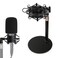 Rigych AT2020 Mic Stand Adjustable Height Desk Mic Stand with Shock Mount Foam Windscreen Metal Weighted Base 14 to 38 Metal Adapter for AT2020 AT2020USB AT2020USB AT2035 Mic by