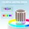 ECHOMUSSY Wireless Microphones Microphone with OnetoOne Chip Connection Controllable LED Lights 40H Duration 200FT Range Free Sing Volume Control Microphone for Singing Speech Home Party Youtube
