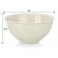 Tribello Large Mixing bowls 5Quart 169oz Plastic SaladMixingServing Bowl 1 pack