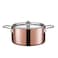 Scanpan Maitre D Copper Dutch Oven 16 quart Metallic