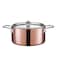Scanpan Maitre D Copper Dutch Oven 16 quart Metallic