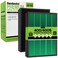 Durabasics Replacement Compatible with 400400S Airmega Max 2 High Performance HEPA and Activated Carbon Filter for Air Purifier 2Pack