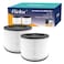 Flintar Replacement HEPA Filter Compatible with Coway Airmega 100 Air Purifier 3in1 Prefilter H13 True HEPA and Deodorization Filter Set 2 Pack