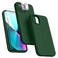 Dssairo 5 in 1 Designed for iPhone 13 Case with 2 Pack Screen Protector2 Pack Camera Lens Protector Liquid Silicone Ultra Slim Shockproof Protective Phone Case Microfiber Lining 61Alpine Green