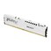Kingston FURY Beast White 32GB 5600MTs CL36 DDR5 EXPO DIMM Overclocking AMD EXPO KF556C36BWE32