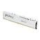 Kingston FURY Beast White 32GB 5600MTs CL36 DDR5 EXPO DIMM Overclocking AMD EXPO KF556C36BWE32