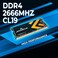 Timetec Pinnacle 32GB KIT2x16GB DDR4 2666MHz DDR42666 PC421300 PC42666V NonECC Unbuffered 12V CL19 2Rx8 Dual Rank 260 Pin SODIMM Laptop Notebook PC Computer Memory RAM Module Upgrade