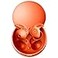 Bluripp Sleepals micro Sleep Earbuds for Side Sleepers Sleep Headphones with Soft and Snug Fit Moderate Noise Reduction not ANC Small and Light 4H Single Play 28H with Charging Case Orange