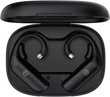 Fanmusic TRN BT20 Pro True Wireless Bluetooth 53 Earphone Module Swappable connectors Headphones not Included 2pinS