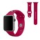 SOAR NFL 42mm Apple Watch Band San Francisco 49ers